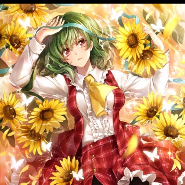 琴崽（小花版）