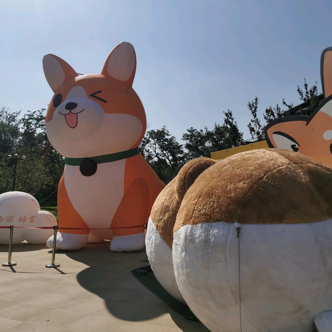 五五四匆匆