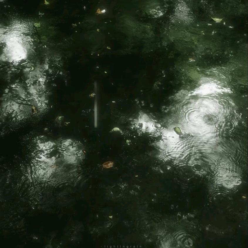 雨下一整晚头像