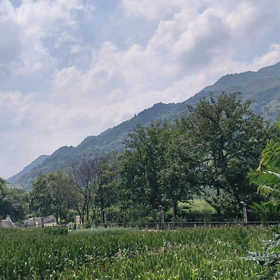 春和景明