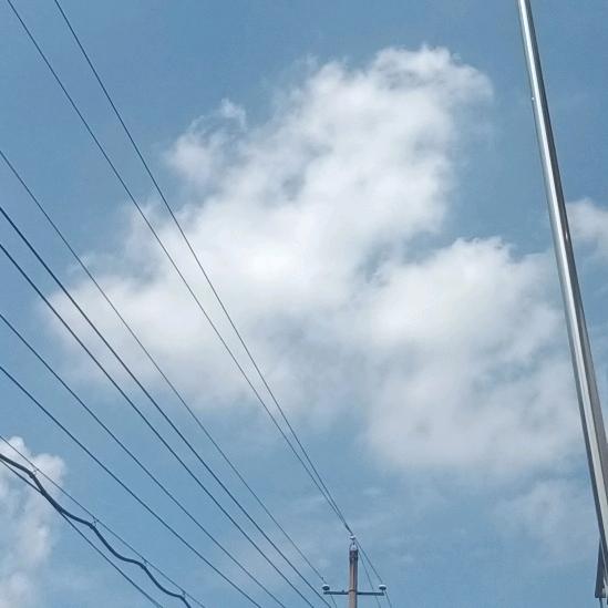 三哥