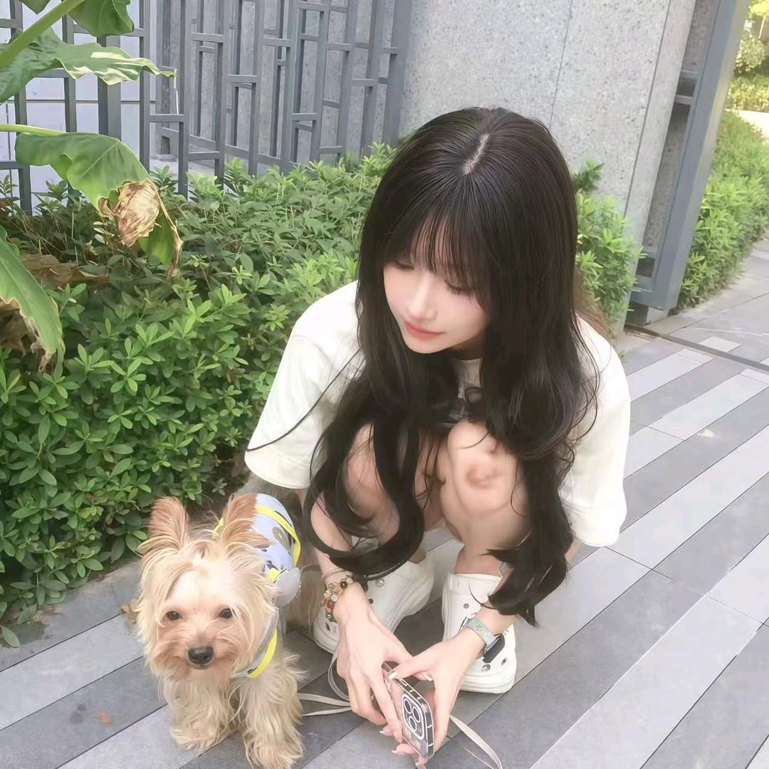 七秒记忆的鱼儿