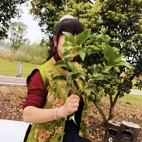 温柔少奶奶
