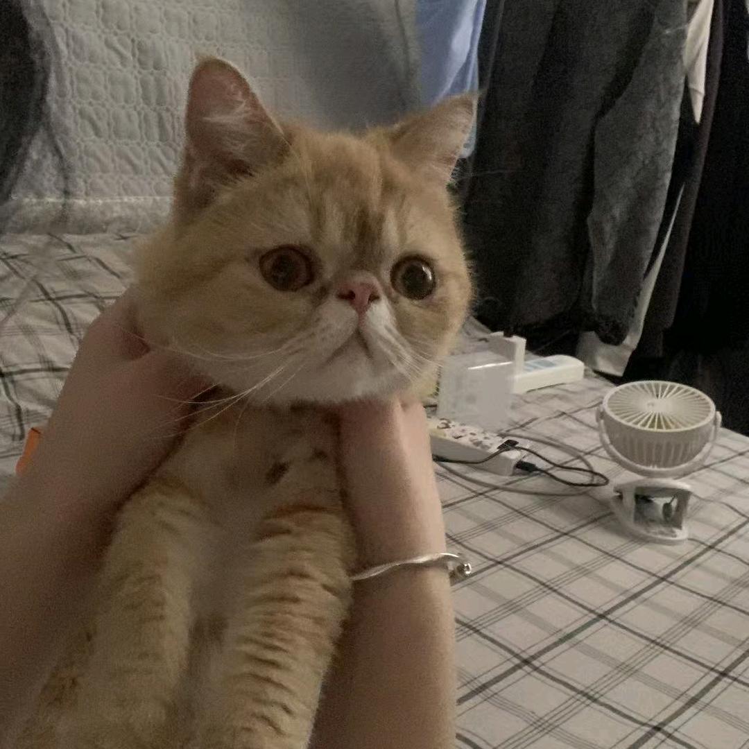 小张不开张