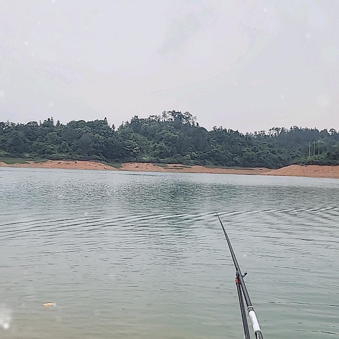 听说你又空军了