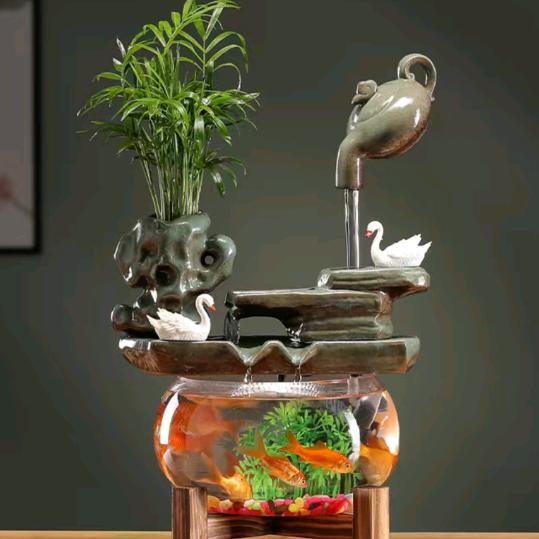 小鑫鑫