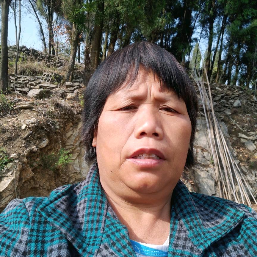 杨五珍17573850969