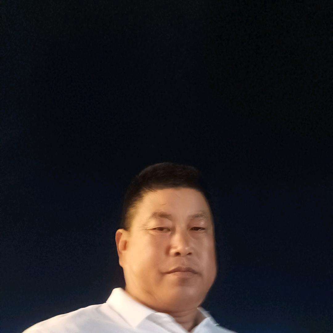 杨金