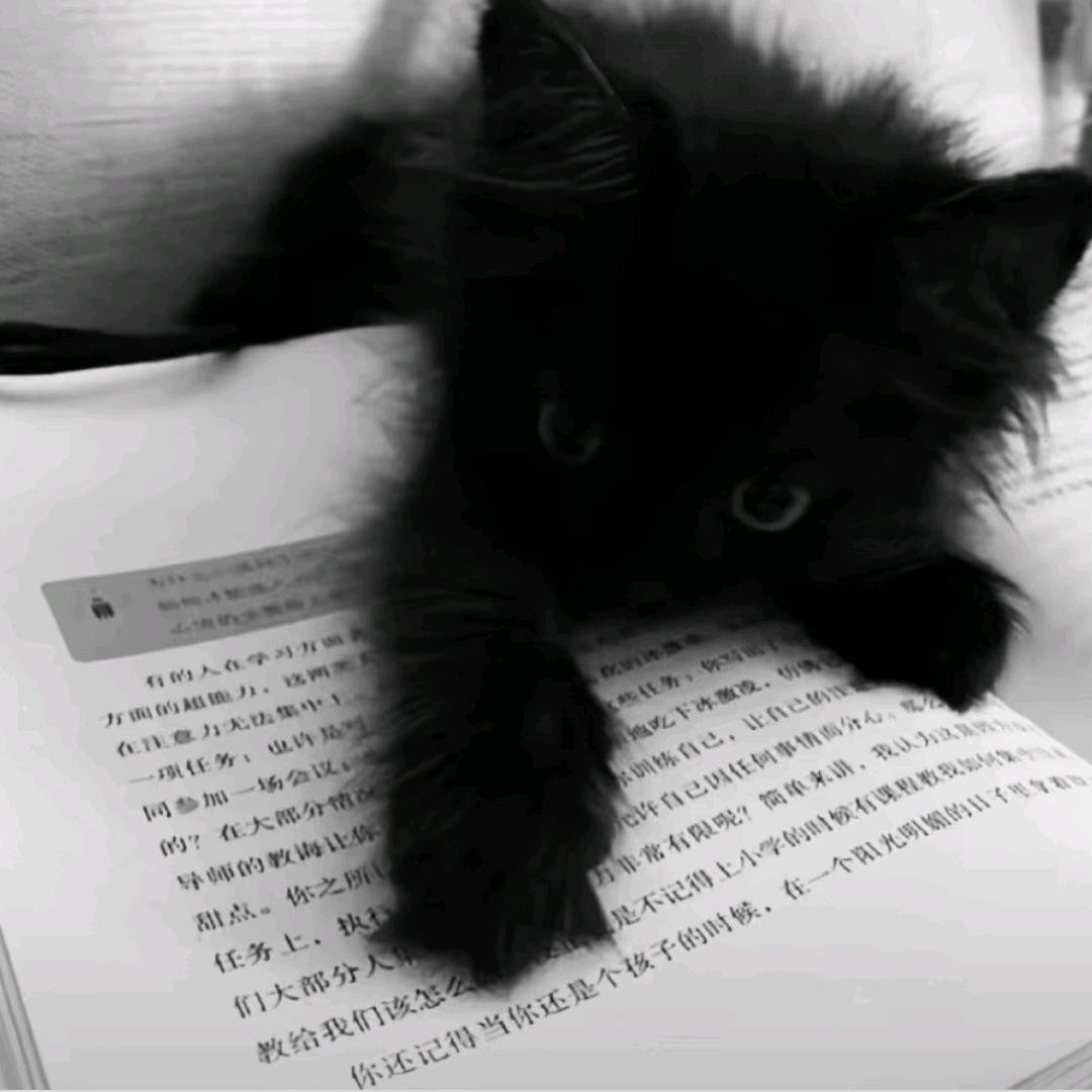 别尝试