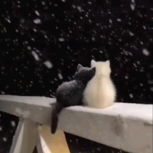 💗ℒℴѵℯ唯她⁵²⁰℘࿐