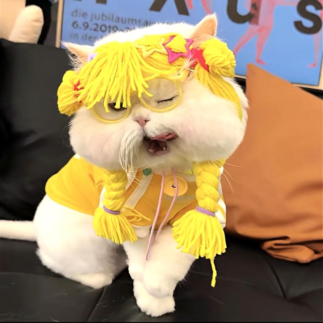 粥粥.