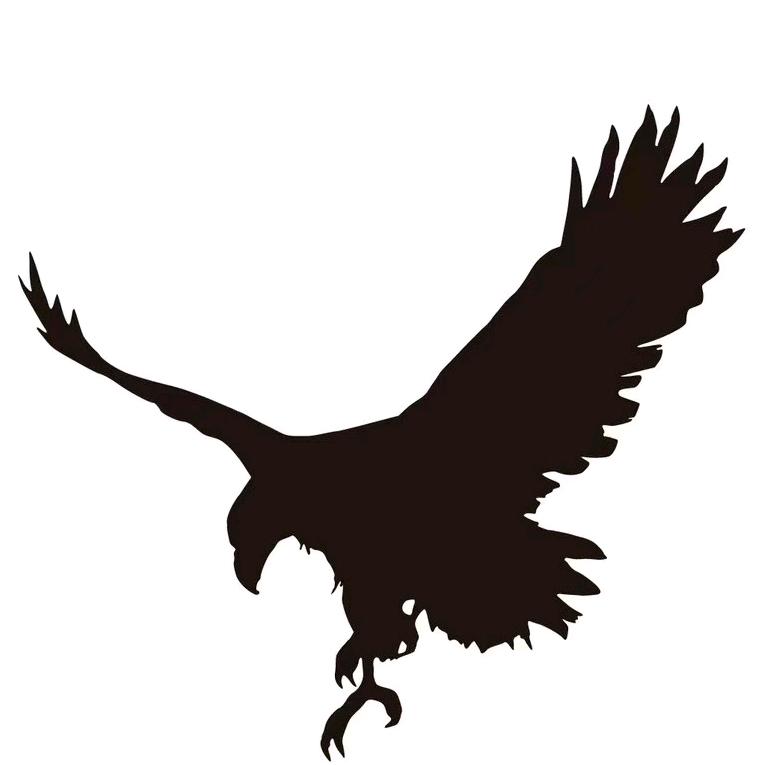 鹰扬健身