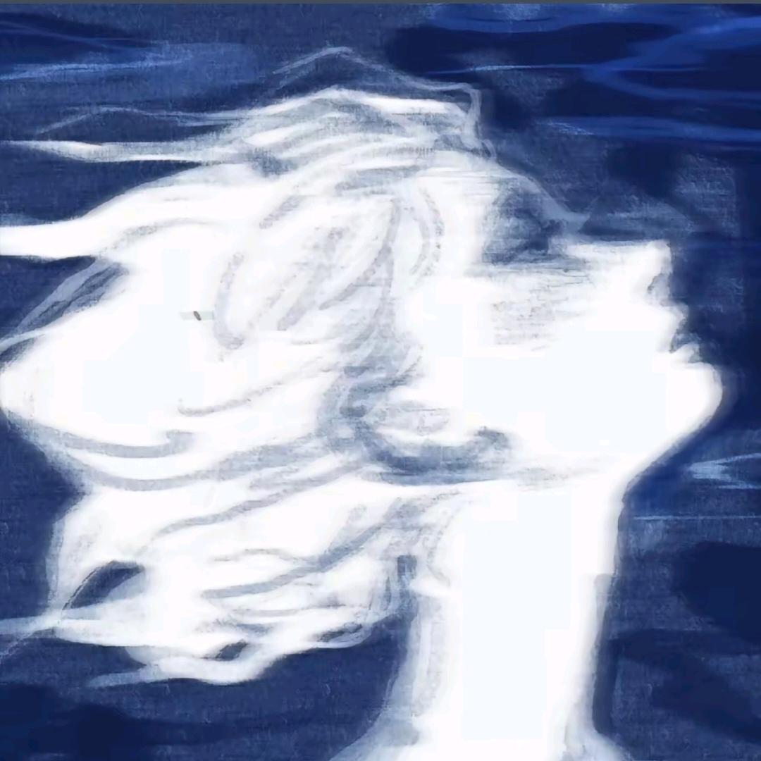 弃子pt