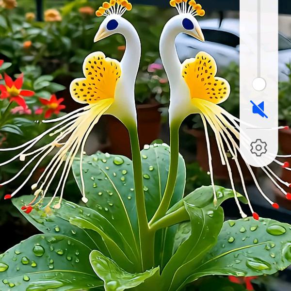 幸福属于知足者！