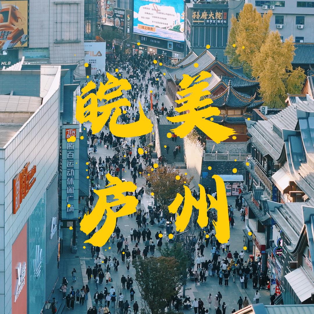 皖美庐州
