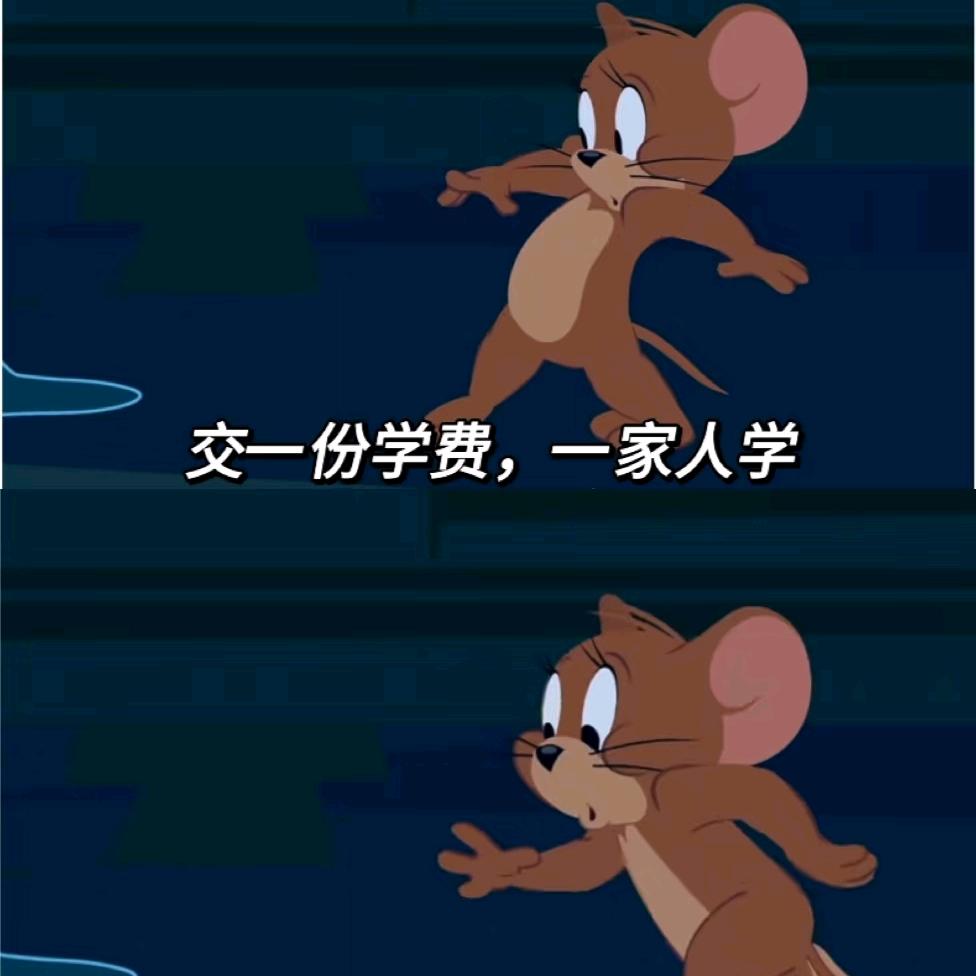 西气洋洋 🍉