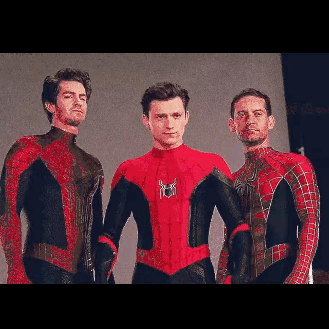 赛赛《猪🐷猪》