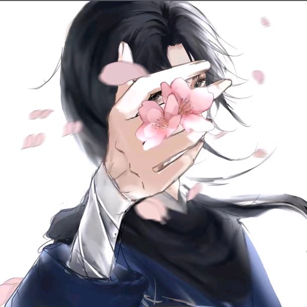 小白杨
