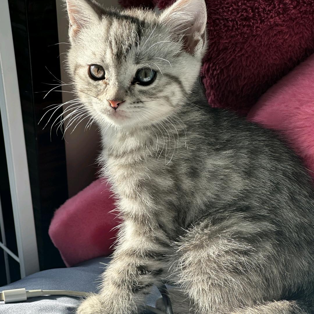 ಇ᭄泡芙不甜💞