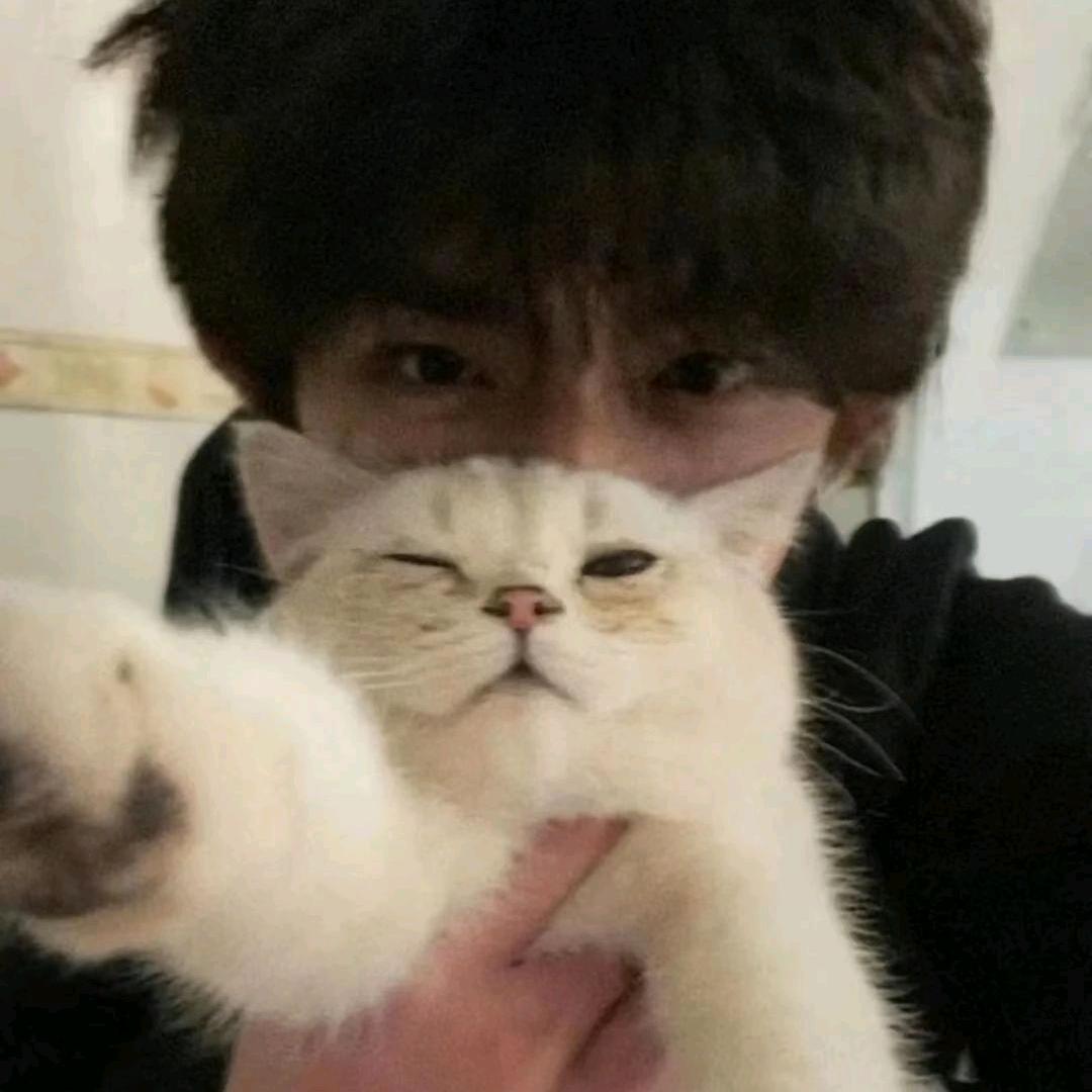 灰