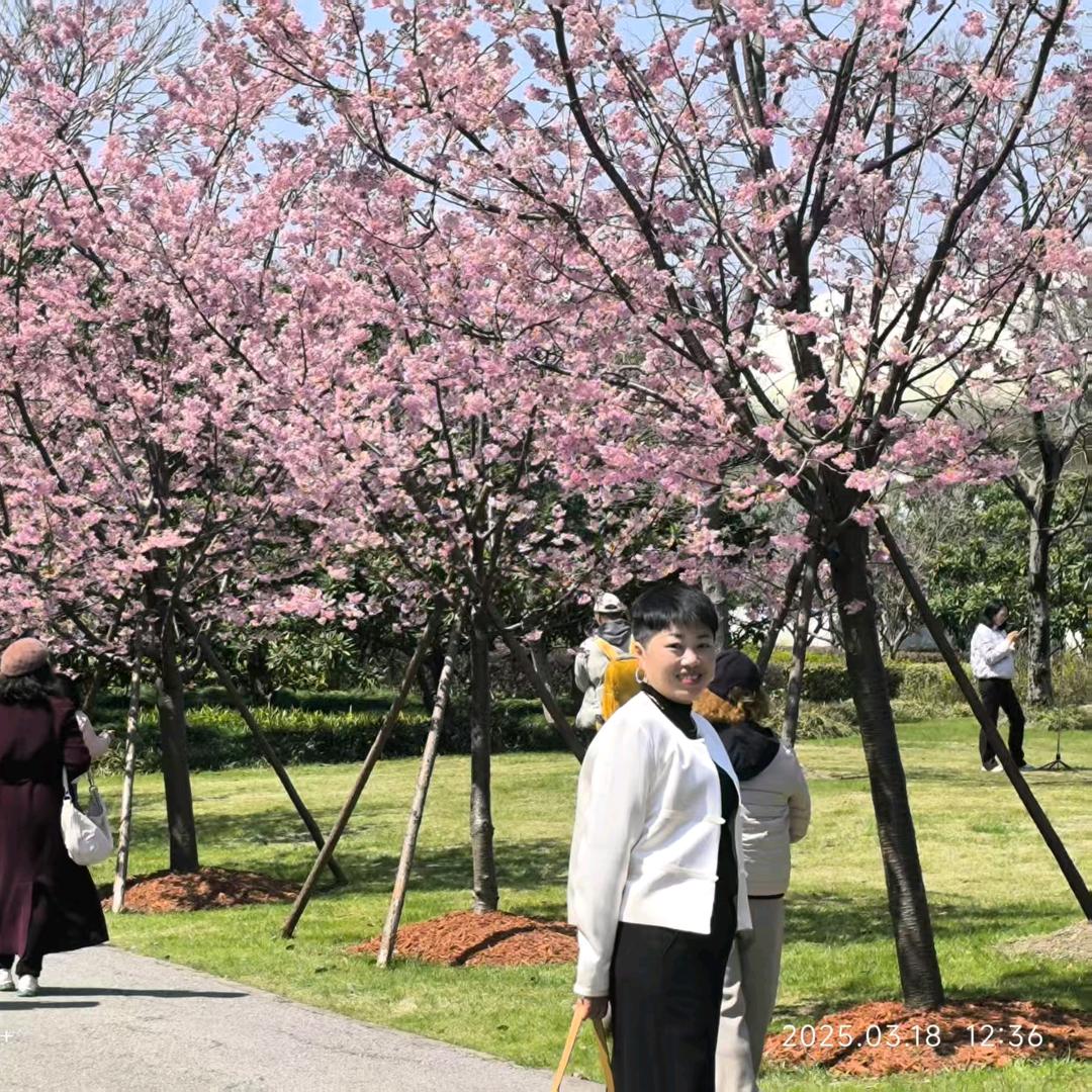 湖来破酥包