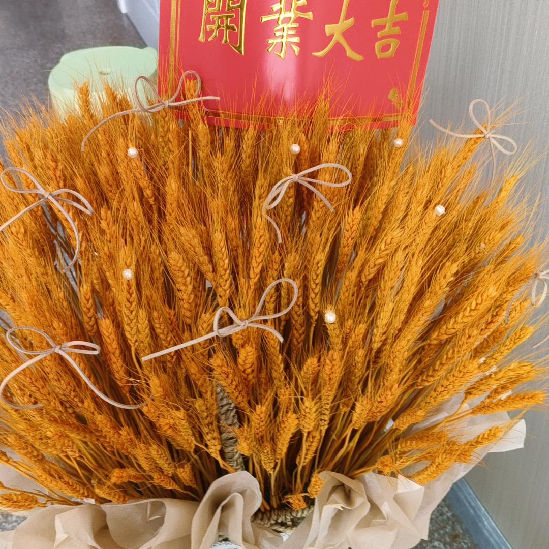 月阳