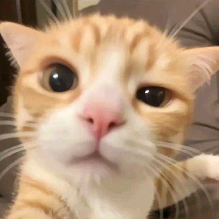 冰冰子