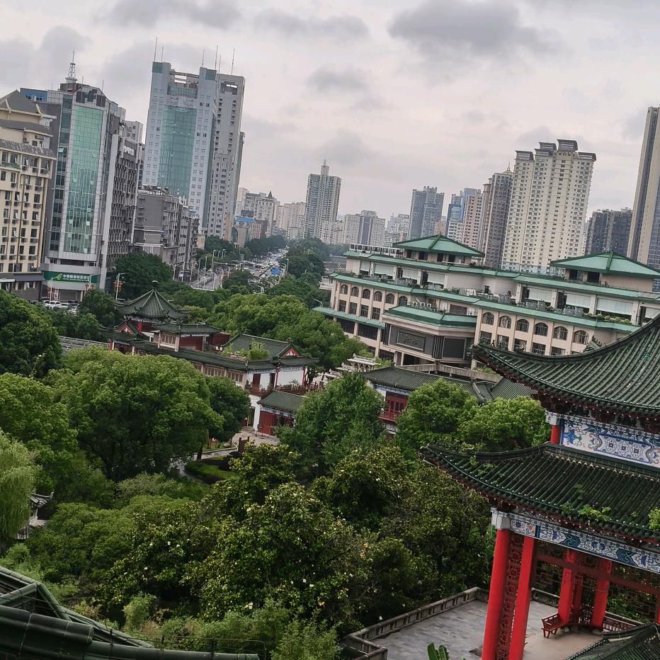 专业盖琉璃瓦