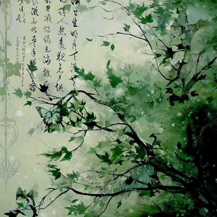 拯救书荒