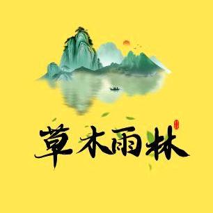 草木雨林茶行