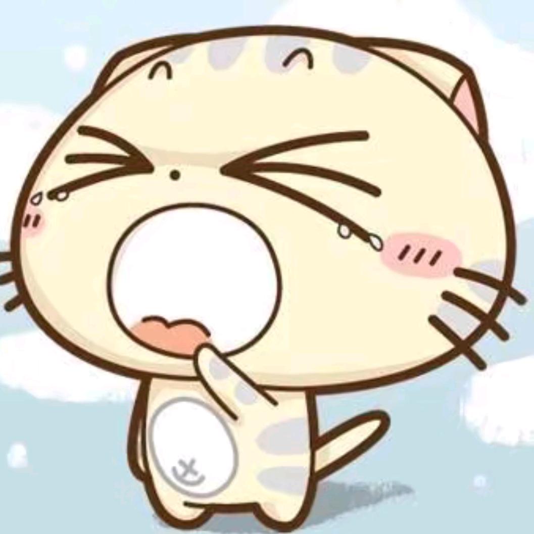 小情绪₍˄·͈༝·͈˄₎◞ ̑̑