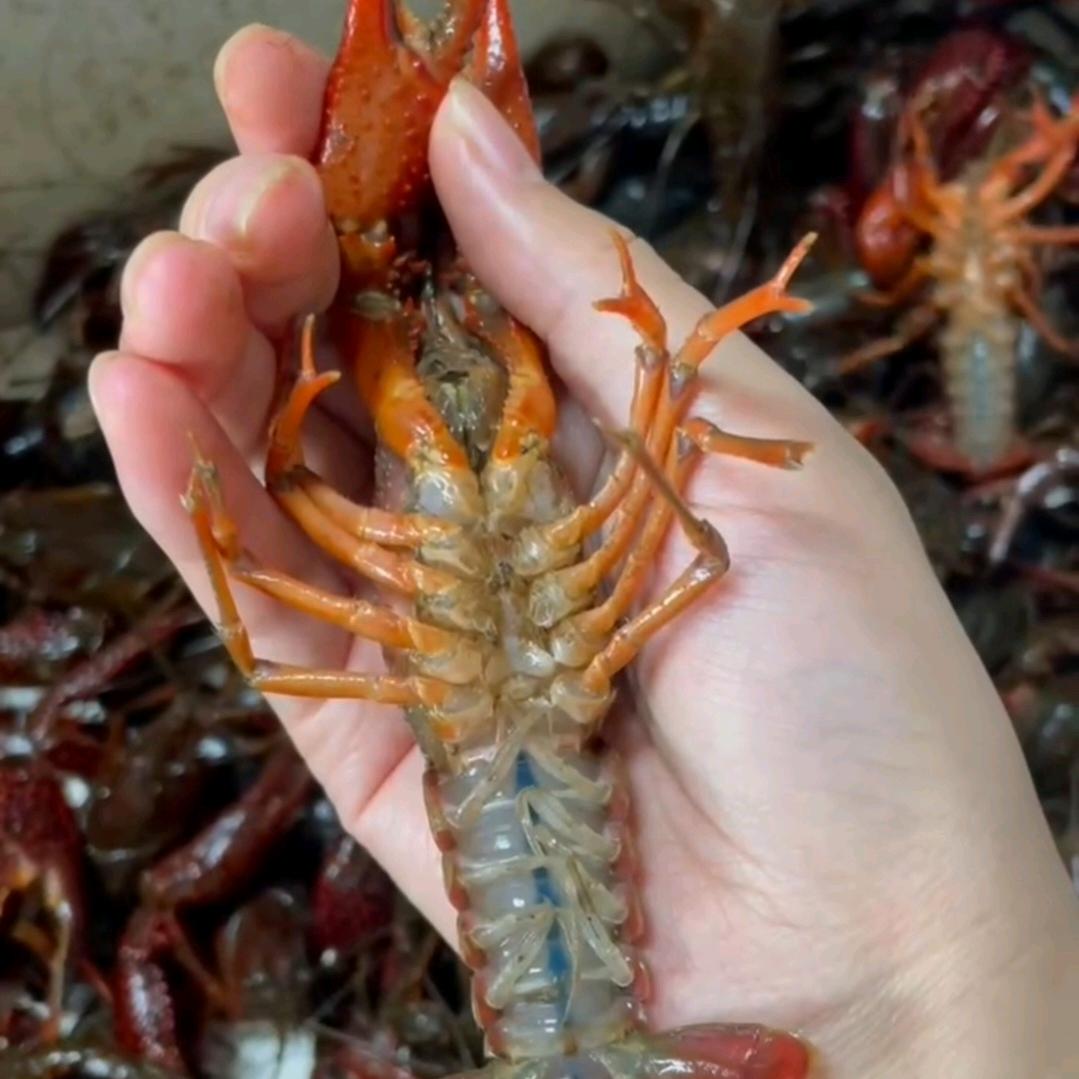 郭（果）然生鲜