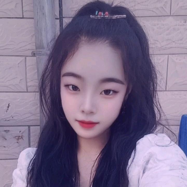 ✨小凤🐍✨