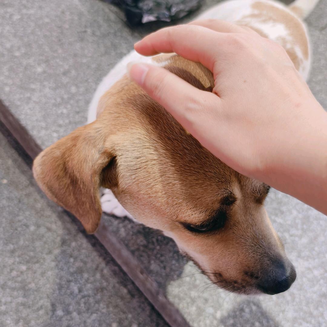 社会主义核心价值观头像