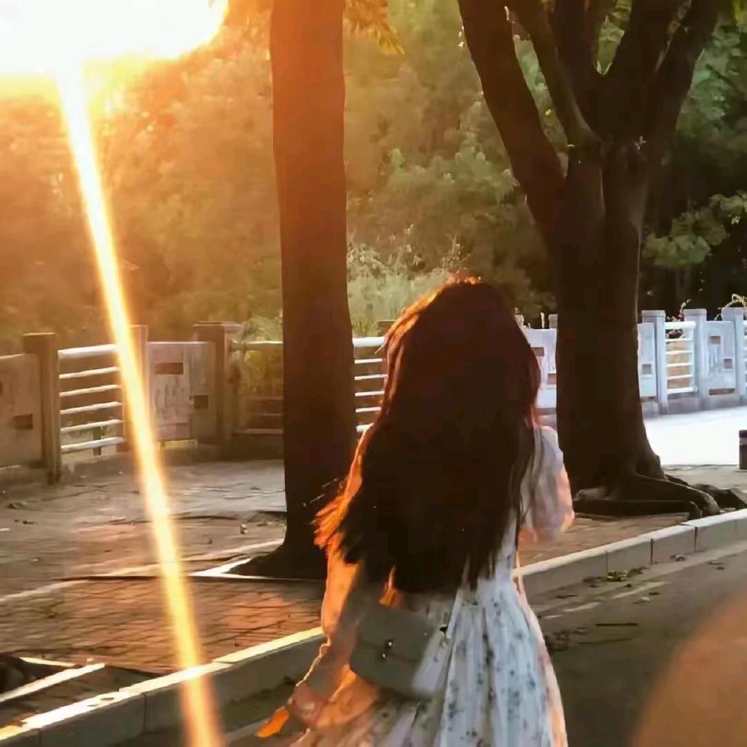 风吹半夏＆知否知否