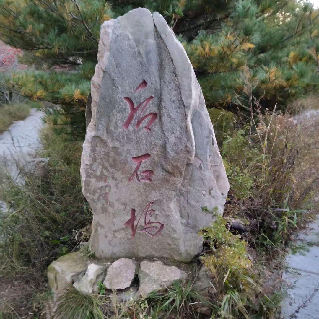 （正心正念）感恩遇见