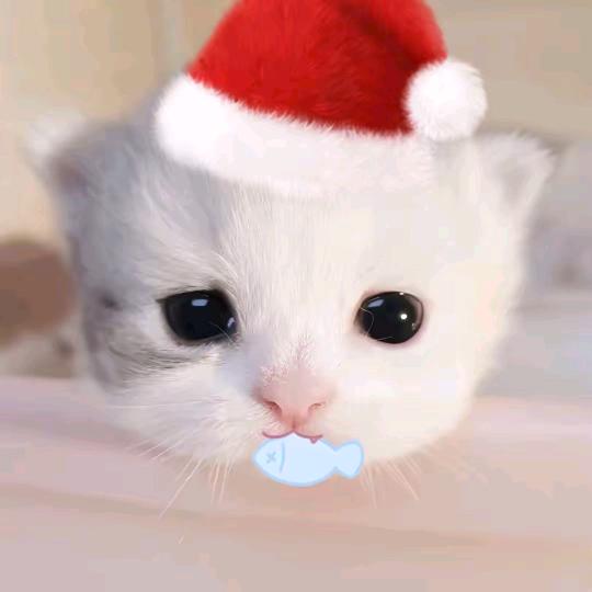 派大星的海洋裤.🌴