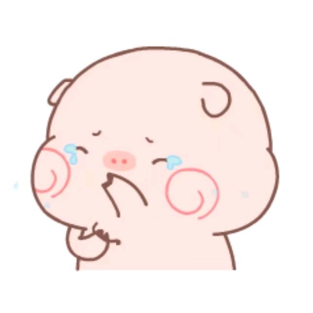 ☁️轻云蔽月☁️