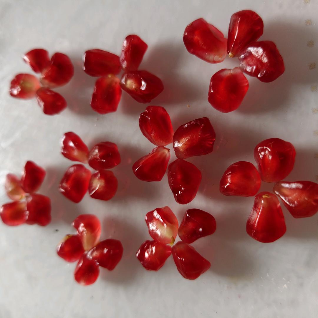 小草🌿🌿🌿🌿