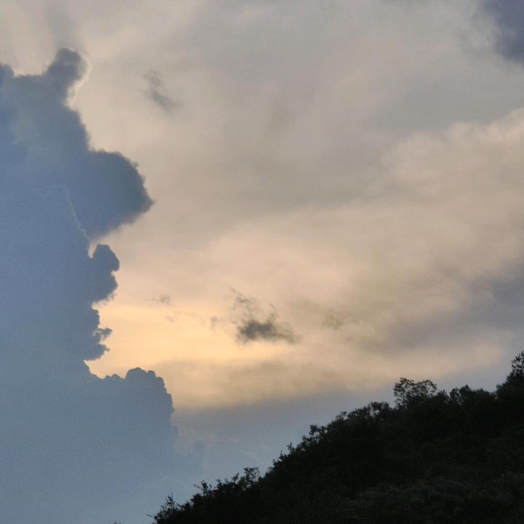 说 走，就，走。