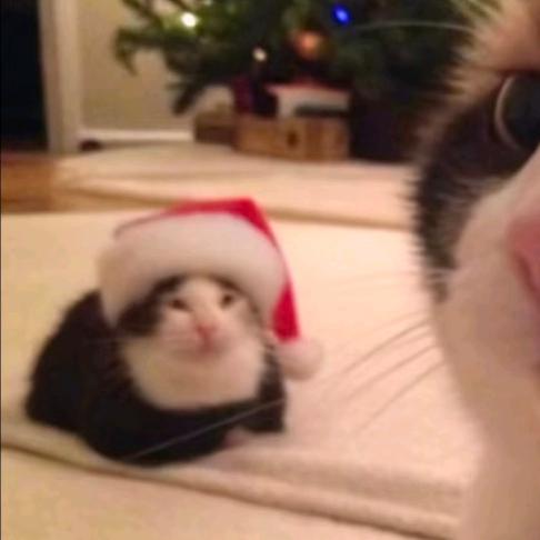 泪水打湿麦当劳