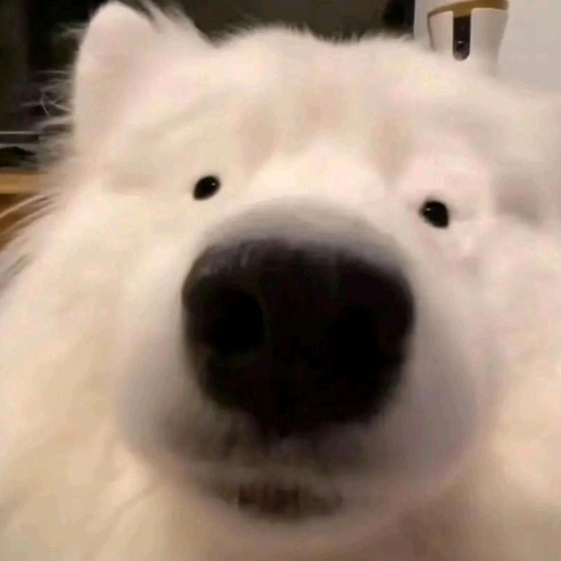 宇宙超级无敌至尊螺旋绝世霹雳大帅哥.