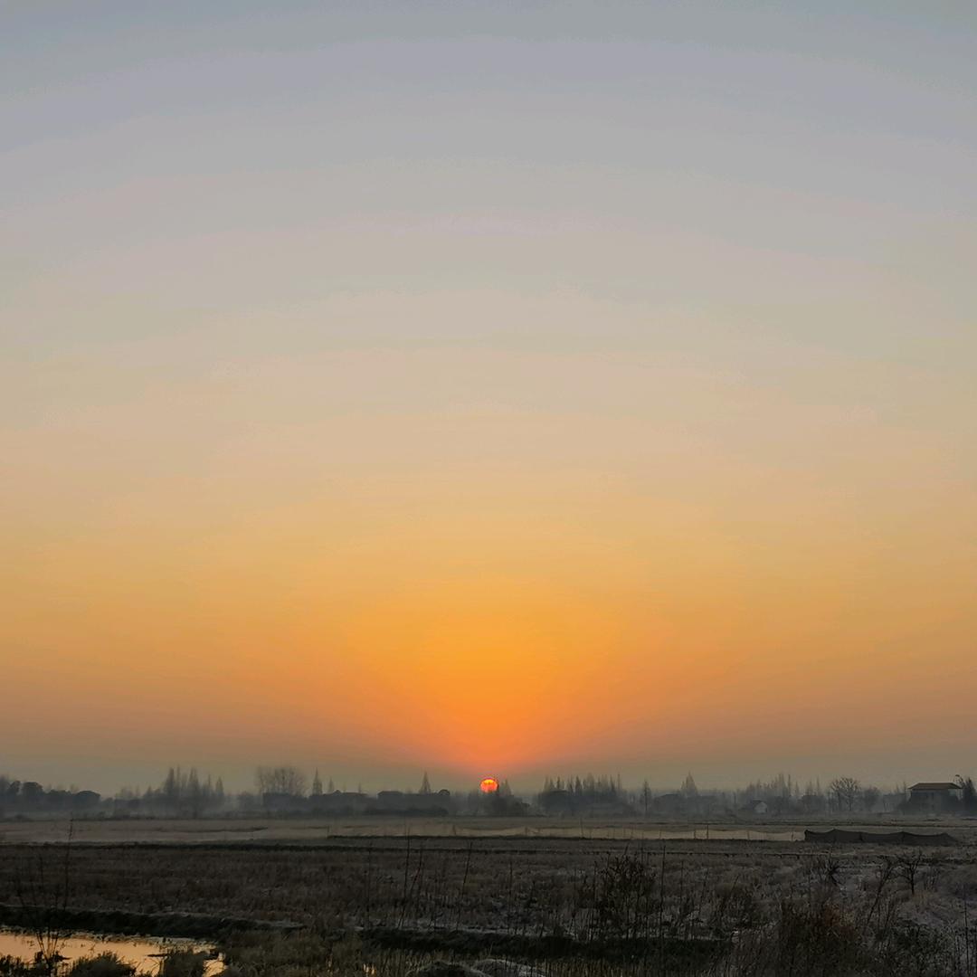 不是小李