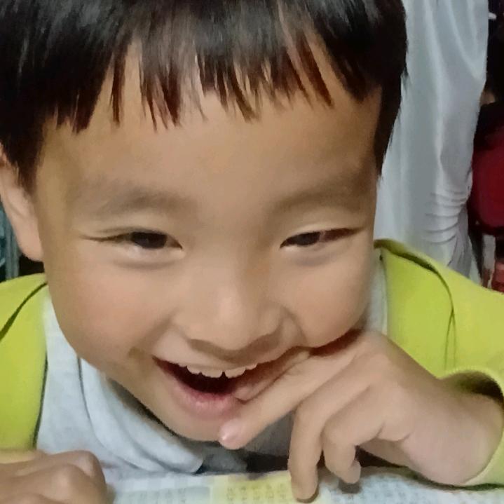 圆宝