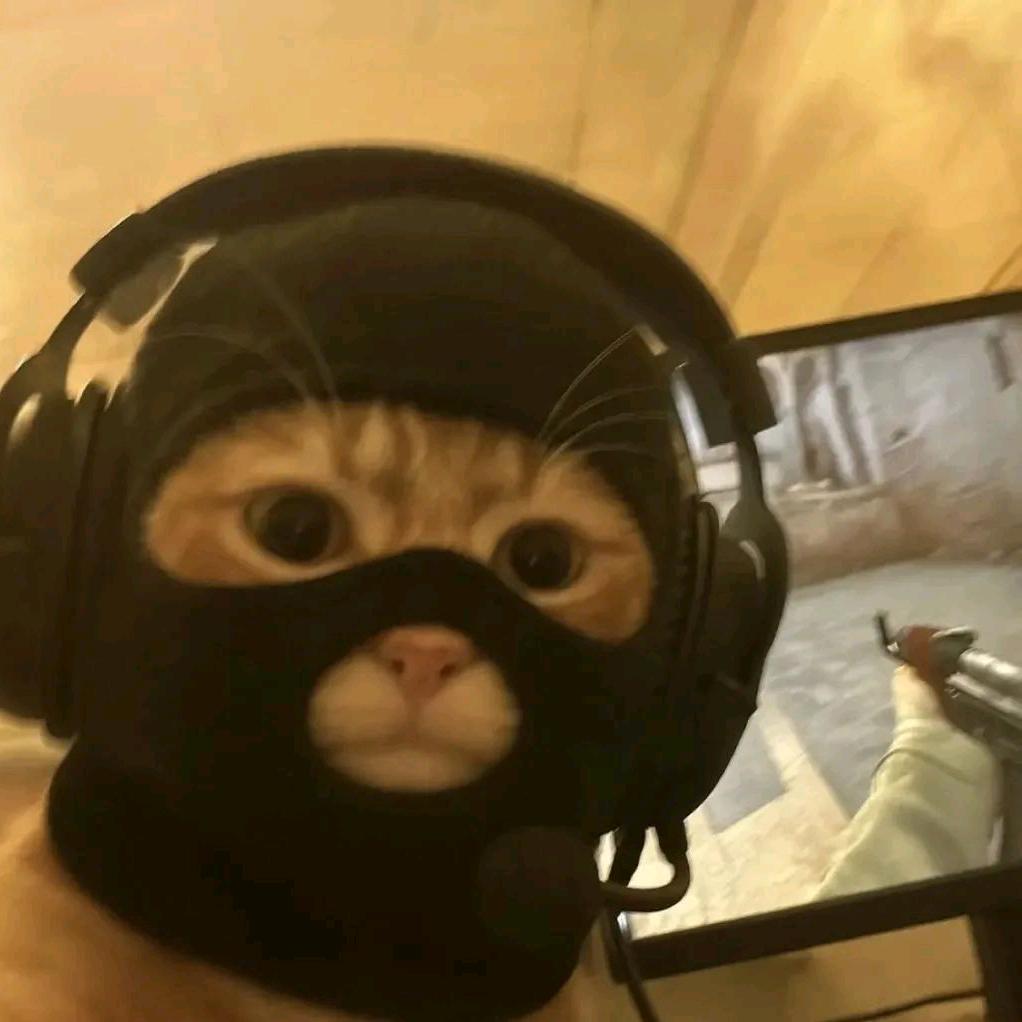 晴天丶