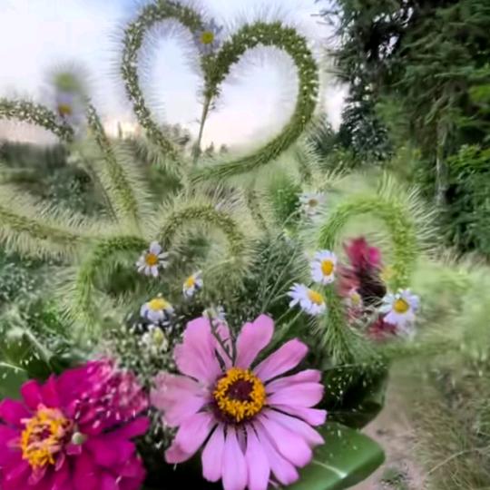 花生米