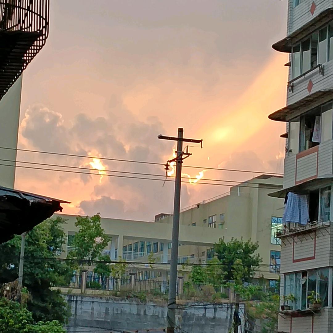 游正芬