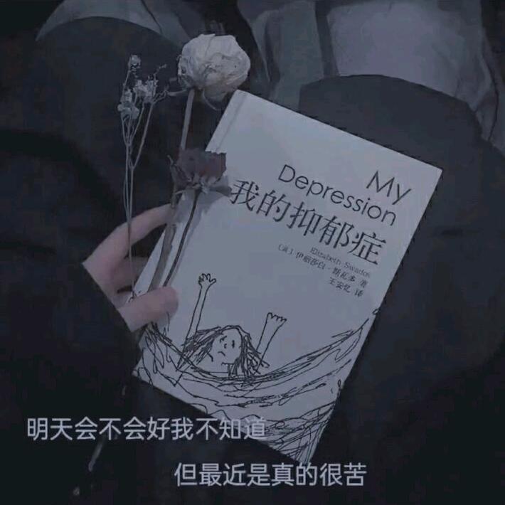 香砂仁⚠️