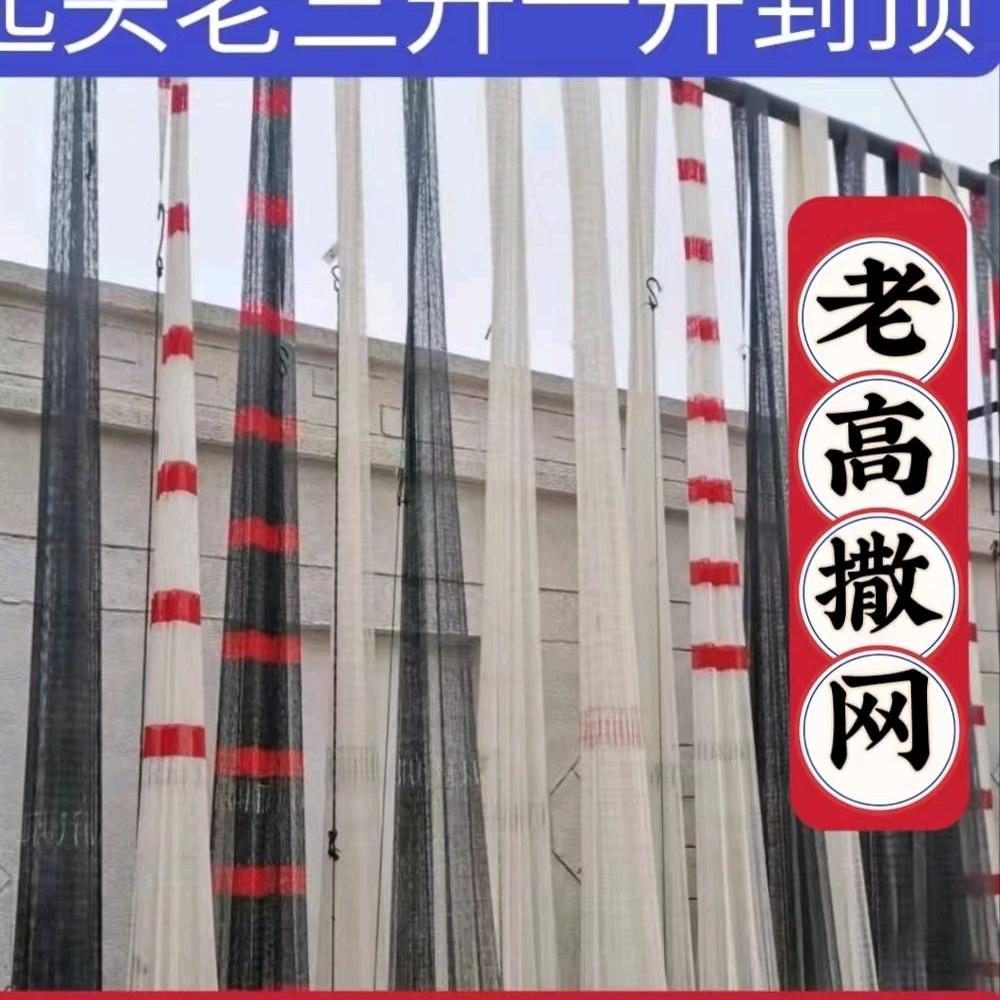 老高撒网