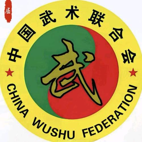 【金城武术】